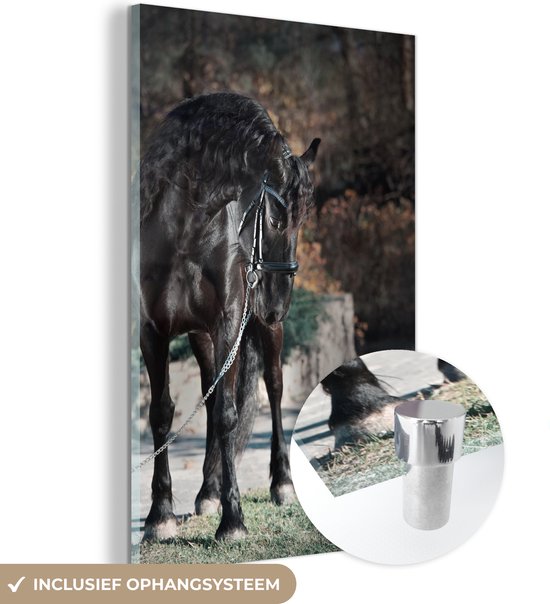 MuchoWow® Glasschilderij 20x30 cm - Schilderij acrylglas - Paarden - Fries - Halster - Foto op glas - Schilderijen