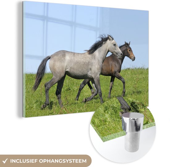 Verre à cheval marron et gris 120x80 cm - Tirage photo sur verre (décoration murale plexiglas)