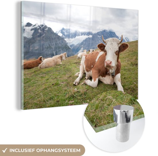 MuchoWow® Peinture sur verre 150x100 cm - Peinture sur verre acrylique - Vaches - Prairie - Alpes - Photo sur verre - Peintures
