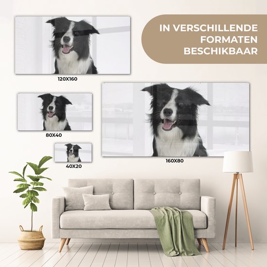 MuchoWow® Tableau sur Verre - Photo Portrait d'un Bon Border Collie Assis - 80x40 cm - Peintures sur Verre Acrylique - Photo sur Glas