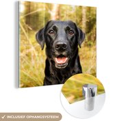 MuchoWow® Glasschilderij 20x20 cm - Schilderij acrylglas - Gelukkige zwarte hond - Foto op glas - Schilderijen