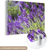 MuchoWow® Glasschilderij 120x80 cm - Schilderij acrylglas - Heldere paarse lavendel in de natuur - Foto op glas - Schilderijen