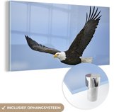 MuchoWow® Glasschilderij 120x60 cm - Schilderij acrylglas - Vogel - Zeearend - Amerika - Foto op glas - Schilderijen