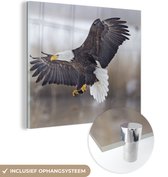 MuchoWow® Glasschilderij 90x90 cm - Schilderij acrylglas - Vogel - Zeearend - Vleugel - Foto op glas - Schilderijen