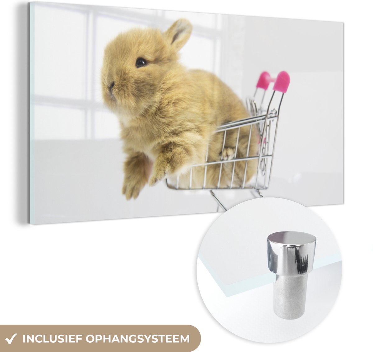 ® Glasschilderij 80x40 cm - Schilderij acrylglas - Konijn - Baby - Wit - Foto op glas - Muurdecoratie woonkamer - Wanddecoratie slaapkamer - Schilderijen