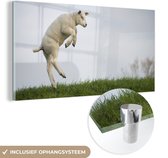 MuchoWow® Glasschilderij 160x80 cm - Schilderij acrylglas - Schaap - Gras - Lente - Foto op glas - Schilderijen
