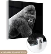 MuchoWow® Glasschilderij 20x20 cm - Schilderij acrylglas - Een schitterende Gorilla kijkt naar beneden - Foto op glas - Schilderijen