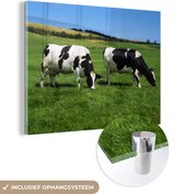 MuchoWow® Glasschilderij 80x60 cm - Schilderij glas - Koe - Dieren - Gras - Foto op acrylglas - Schilderijen