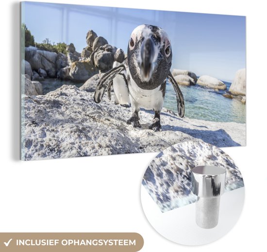 MuchoWow® Glasschilderij 160x80 cm - Schilderij acrylglas - Close-up van een Pinguïn op Boulders Beach - Foto op glas - Schilderijen