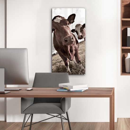 MuchoWow® Peinture sur verre 40x80 cm - Peinture sur verre acrylique - Tirage photo vaches sur un champ sépia - Photo sur verre - Peintures