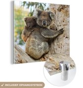 MuchoWow® Glasschilderij 90x90 cm - Schilderij acrylglas - Koala's - Kind - Boom - Kinderen - Jongens - Meiden - Foto op glas - Schilderijen