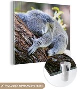 MuchoWow® Glasschilderij 90x90 cm - Schilderij acrylglas - Koala - Boomstam - Knuffel - Kids - Jongens - Meiden - Foto op glas - Schilderijen