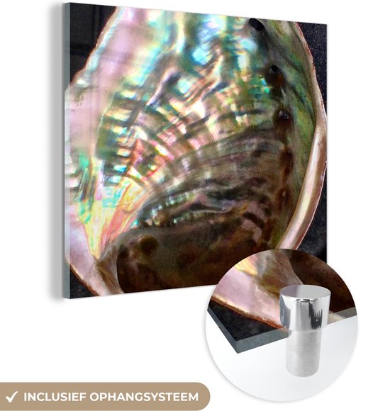 MuchoWow® Glasschilderij 20x20 cm - Schilderij acrylglas - Schelp - Parelmoer - Hout - Foto op glas - Schilderijen