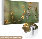 MuchoWow® Glasschilderij 120x60 cm - Schilderij acrylglas - Koolmees op een kleurrijke tak - Foto op glas - Schilderijen