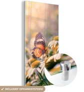 MuchoWow® Glasschilderij 20x40 cm - Schilderij acrylglas - Vlinder op kamillebloem - Foto op glas - Schilderijen