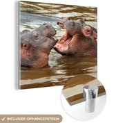 MuchoWow® Glasschilderij 50x50 cm - Schilderij acrylglas - Nijlpaard - Dieren - Water - Foto op glas - Schilderijen