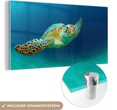 MuchoWow® Glasschilderij 120x60 cm - Schilderij acrylglas - Close-up foto van groene zeeschildpad - Foto op glas - Schilderijen