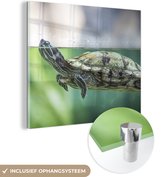 MuchoWow® Glasschilderij 90x90 cm - Schilderij acrylglas - Close-up foto van schildpad - Foto op glas - Schilderijen