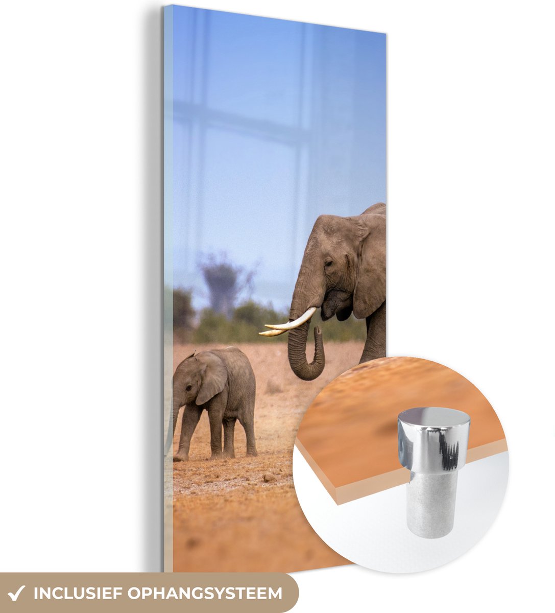 ® Glasschilderij 60x120 cm - Schilderij acrylglas - Familie olifanten met hun baby in Kenia - Foto op glas - Muurdecoratie woonkamer - Wanddecoratie slaapkamer - Schilderijen