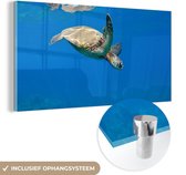 MuchoWow® Glasschilderij 40x20 cm - Schilderij acrylglas - Schildpad zwemmend in oceaan - Foto op glas - Schilderijen