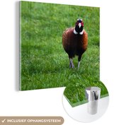 MuchoWow® Glasschilderij 20x20 cm - Schilderij acrylglas - Fazant - Wild - Engeland - Foto op glas - Schilderijen