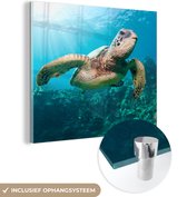 MuchoWow® Peinture sur verre - Impression photo tortue nageuse - 90x90 cm - Peintures sur verre acrylique - Photo sur Glas