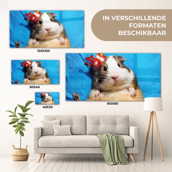 MuchoWow® Peinture sur verre 120x60 cm - Peinture sur verre - Cochon d'Inde - Drôle - Kroon - Enfants - Garçons - Filles - Enfant - Photo sur verre acrylique - Peintures