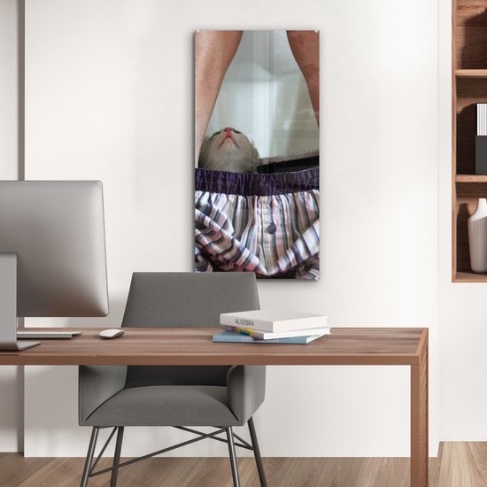 Peinture sur Verre - Chat - Pantalon - Toilettes - 40x80 cm - Peintures sur Verre Peintures - Photo sur Glas