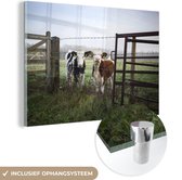Deux jeunes vaches frisonnes derrière une clôture en fil de fer barbelé Plexiglas 120x80 cm - Tirage photo sur verre (décoration murale en plexiglas)