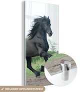 MuchoWow® Glasschilderij 40x80 cm - Schilderij acrylglas - Paard - Zwart - Natuur - Foto op glas - Schilderijen