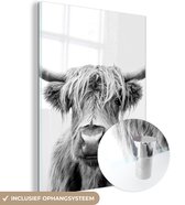 Peinture sur Verre - Vache - Highlander écossais - Zwart - Wit - 90x120 cm - Peintures sur Verre Peintures - Photo sur Glas