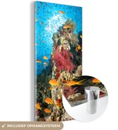 MuchoWow® Glasschilderij 40x80 cm - Schilderij acrylglas - Koraal met vissen - Foto op glas - Schilderijen