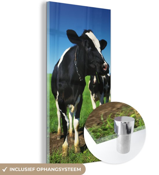MuchoWow® Peinture sur verre 60x120 cm - Peinture sur verre - Vache - Herbe - Animaux - Photo sur verre acrylique - Peintures