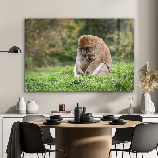 MuchoWow® Peinture sur verre 120x80 cm - Peinture sur verre acrylique - Singe - Jeune - Herbe - Photo sur verre - Peintures
