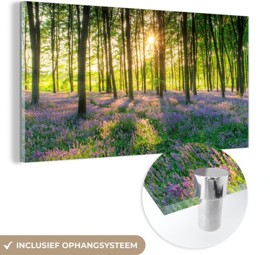 MuchoWow® Glasschilderij 120x60 cm - Schilderij acrylglas - Lente - Bos - Zon - Foto op glas - Schilderijen