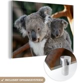 MuchoWow® Glasschilderij 60x40 cm - Schilderij acrylglas - Koala's - Vader - Kind - Kinderen - Jongens - Meisjes - Foto op glas - Schilderijen
