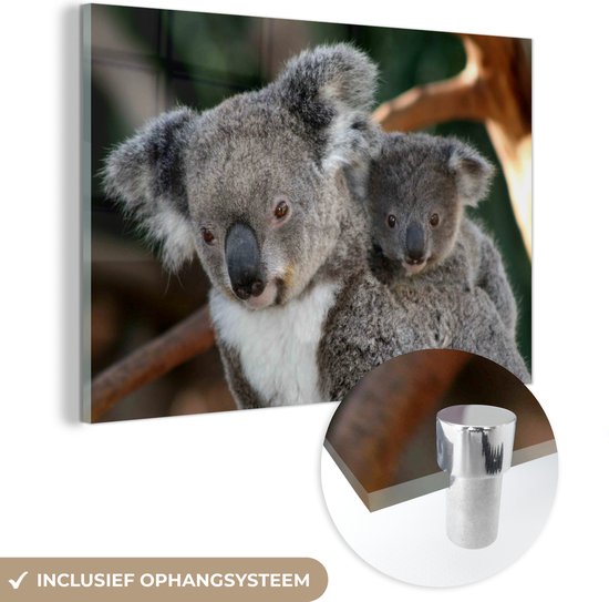 Comme un père comme un fils Glas 60x40 cm - Tirage photo sur Glas (Décoration murale en plexiglas)