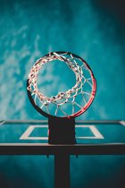 NK Basketbalnet 6mm wit