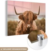 Peinture sur Verre - Vache - Highlander écossais - Animal - 180x120 cm - Peintures sur Verre Peintures - Photo sur Glas