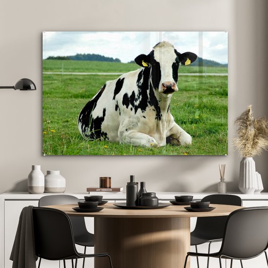 Vache frisonne au repos sur un pâturage vert Plexiglas 120x80 cm - Tirage photo sur Glas (décoration murale en plexiglas)