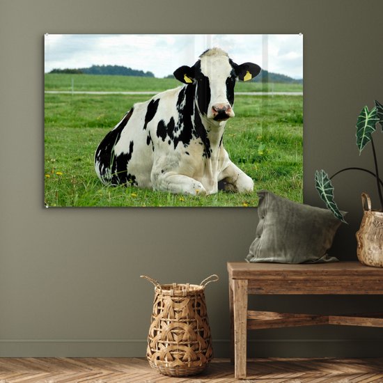 Vache frisonne au repos sur un pâturage vert Plexiglas 120x80 cm - Tirage photo sur Glas (décoration murale en plexiglas)