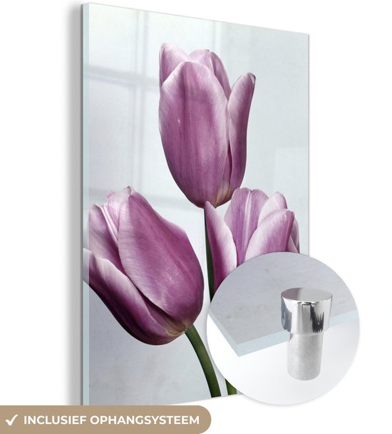 MuchoWow® Glasschilderij 90x120 cm - Schilderij acrylglas - Drie paarse tulpen - Foto op glas - Schilderijen