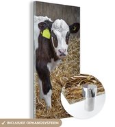 MuchoWow® Glasschilderij 20x40 cm - Schilderij acrylglas - Koe - Stro - Kalf - Dieren - Foto op glas - Schilderijen