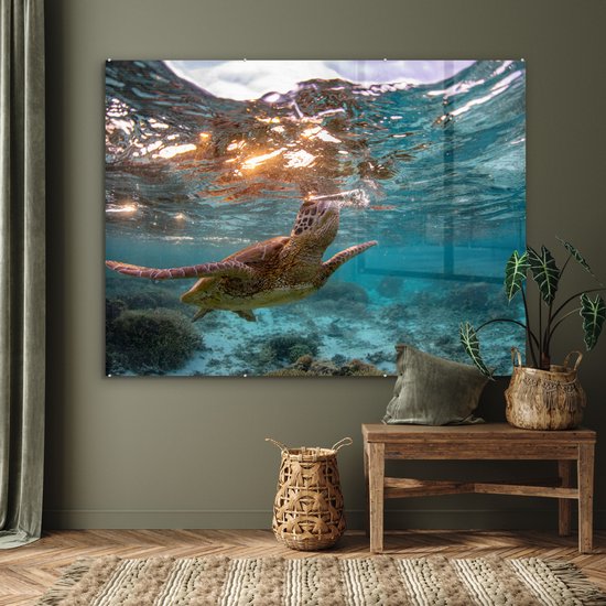 MuchoWow® Peinture sur Verre - Mer - Tortue - Couleurs - 160x120 cm - Peintures Acrylique - Photo sur Glas