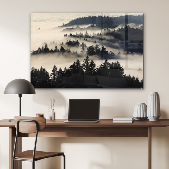 MuchoWow® Peinture sur Verre - Illustration Zwart& Blanc de Redwood dans le Brouillard - 90x60 cm - Peintures sur Verre Acrylique - Photo sur Glas