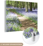 MuchoWow® Glasschilderij 120x90 cm - Schilderij acrylglas - Bos - Pad - Bloemen - Paars - Groen - Natuur - Foto op glas - Schilderijen