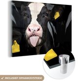 Gros plan d'un joli veau de la vache frisonne Plexiglas 60x40 cm - Tirage photo sur Glas (décoration murale plexiglas)