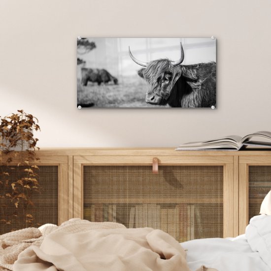 Zwart-wit glasafbeelding van een Schotse Hooglander met lange hoorns, in een veld.