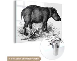 ® Glasschilderij 60x40 cm - Schilderij acrylglas - Illustratie van een tapir in het zwart en wit - Foto op glas - Muurdecoratie woonkamer - Wanddecoratie slaapkamer - Schilderijen