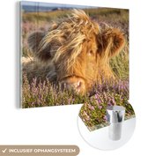 MuchoWow® Glasschilderij 40x30 cm - Schilderij acrylglas - Schotse Hooglander - Heide - Gras - Dieren - Foto op glas - Schilderijen